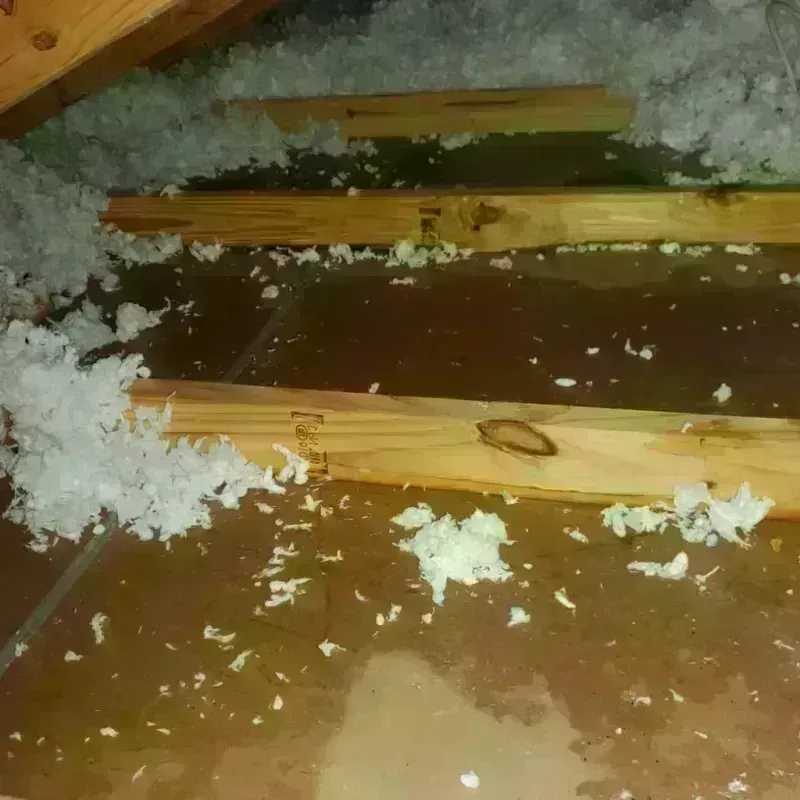 Attic Water Damage in Silver Springs, NV