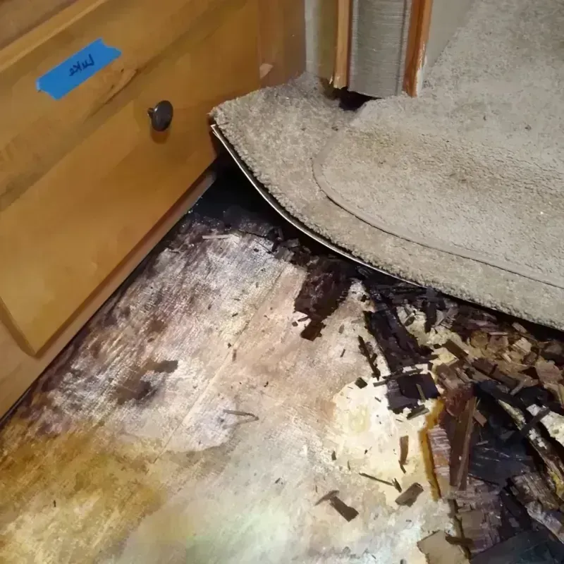 Wood Floor Water Damage in Silver Springs, NV